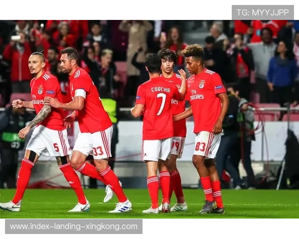 本菲卡看哈兰德式身材——一场足球与力量的完美碰撞