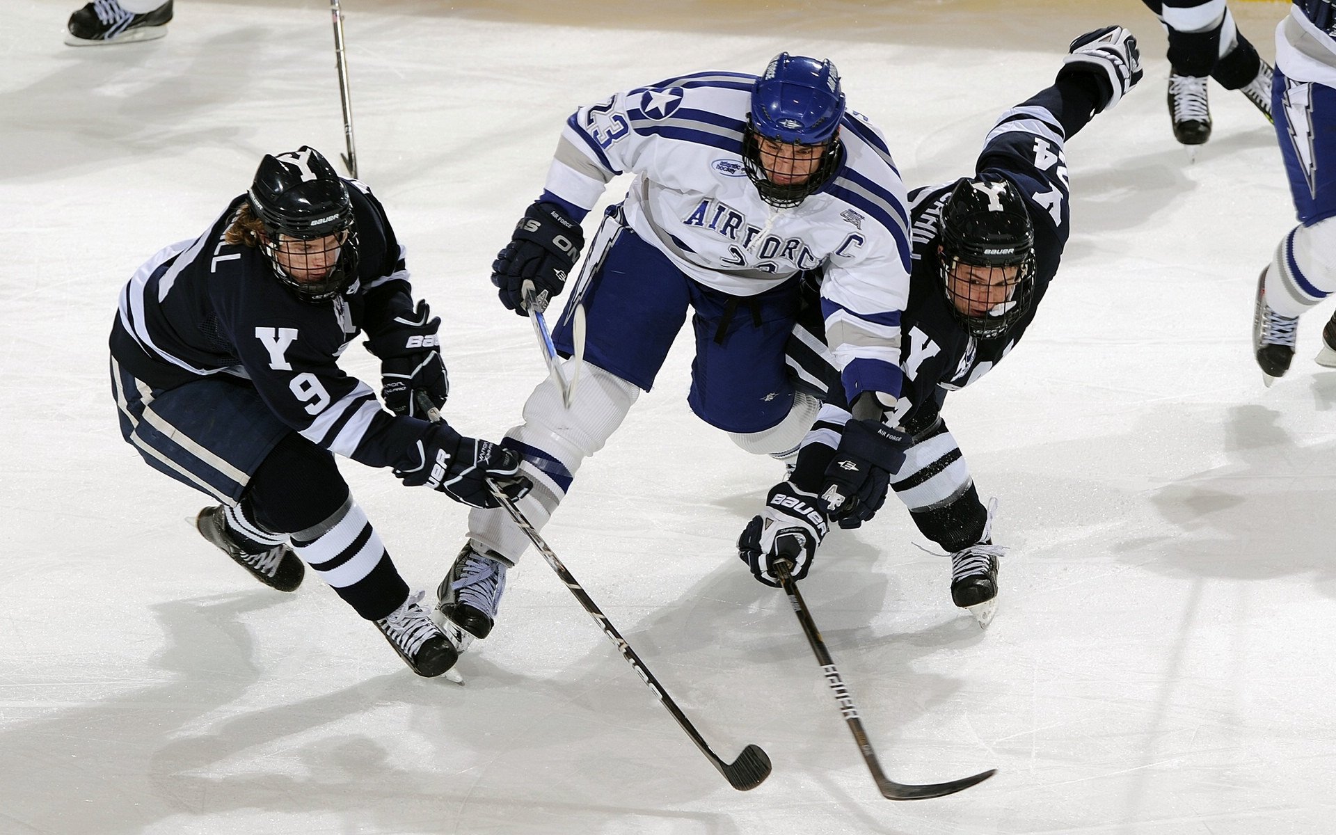 国际拳击裁判在培训中注重职业操守与伤病识别并提供长期支持机制